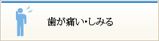 歯が痛い･しみる