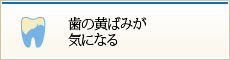 歯の黄ばみが気になる